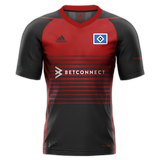 Hamburger_SV_3.png Thumbnail